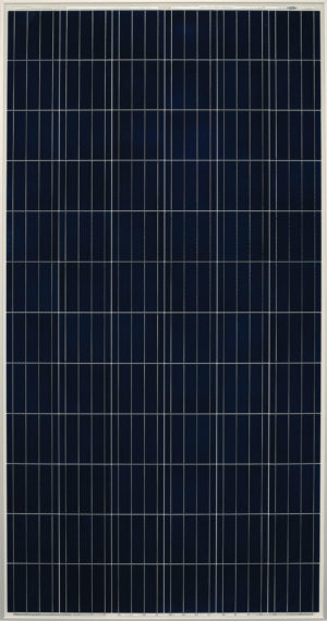 Vikram Solar - Multicrystalline Panel - Eldora Grand Series (315Wp-340Wp)